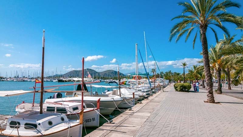visit the port of alcudia